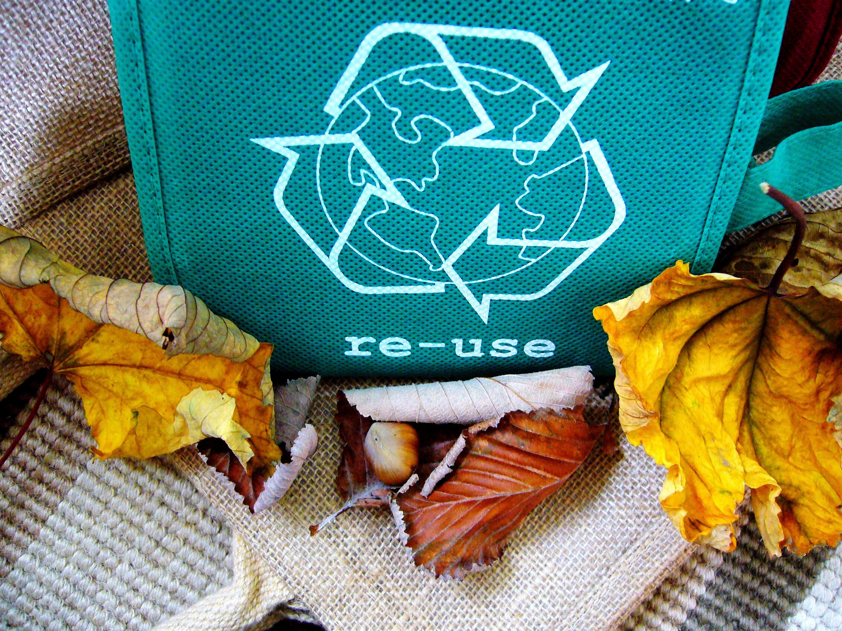 leaf-flower-symbol-autumn-season-textile-1146683-pxhere.com